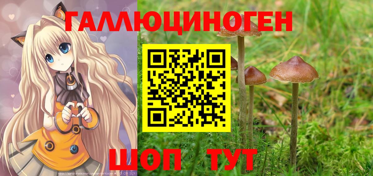 Великий Устюг  наркошоп  Псилоцибиновые грибы ЛСД  Вход с VPN  Псилоцибиновые грибы GOLDEN TEACHER 
