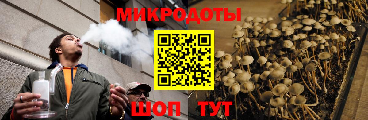 Галлюциногенные грибы мицелий Великий Устюг